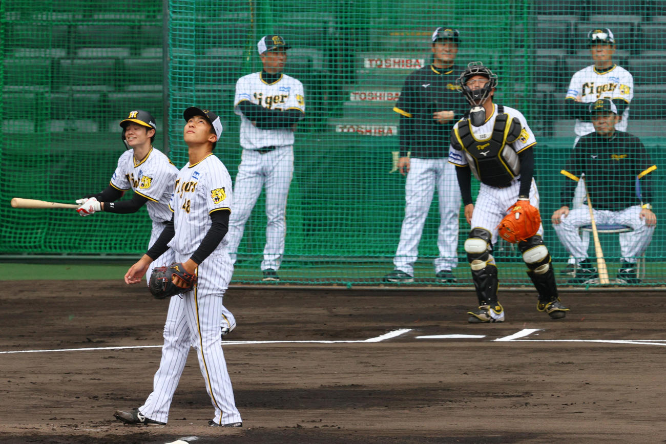 実践形式で登板する阪神茨木（手前）左は阪神中野。右は阪神岡田監督（撮影・上山淳一）