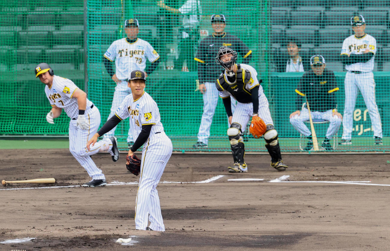 実践形式で登板する阪神茨木（手前）左は阪神ノイジー。右は阪神岡田監督（撮影・上山淳一）