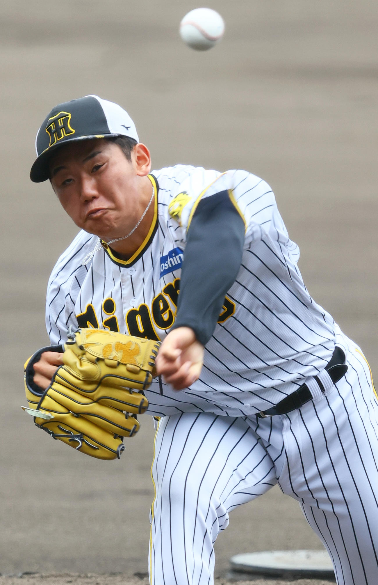 実践形式で投球する阪神門別（撮影・上山淳一）