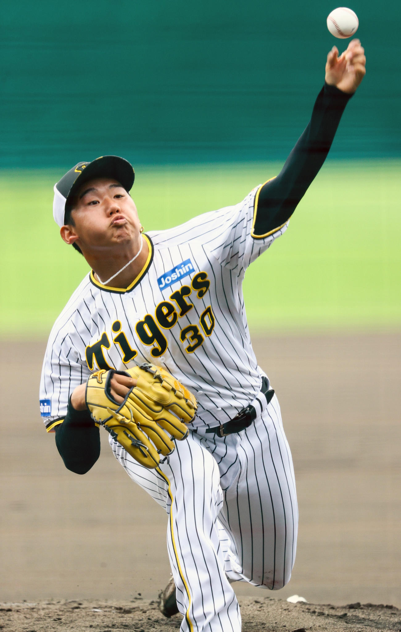 シート打撃に投球した阪神門別（撮影・上山淳一）