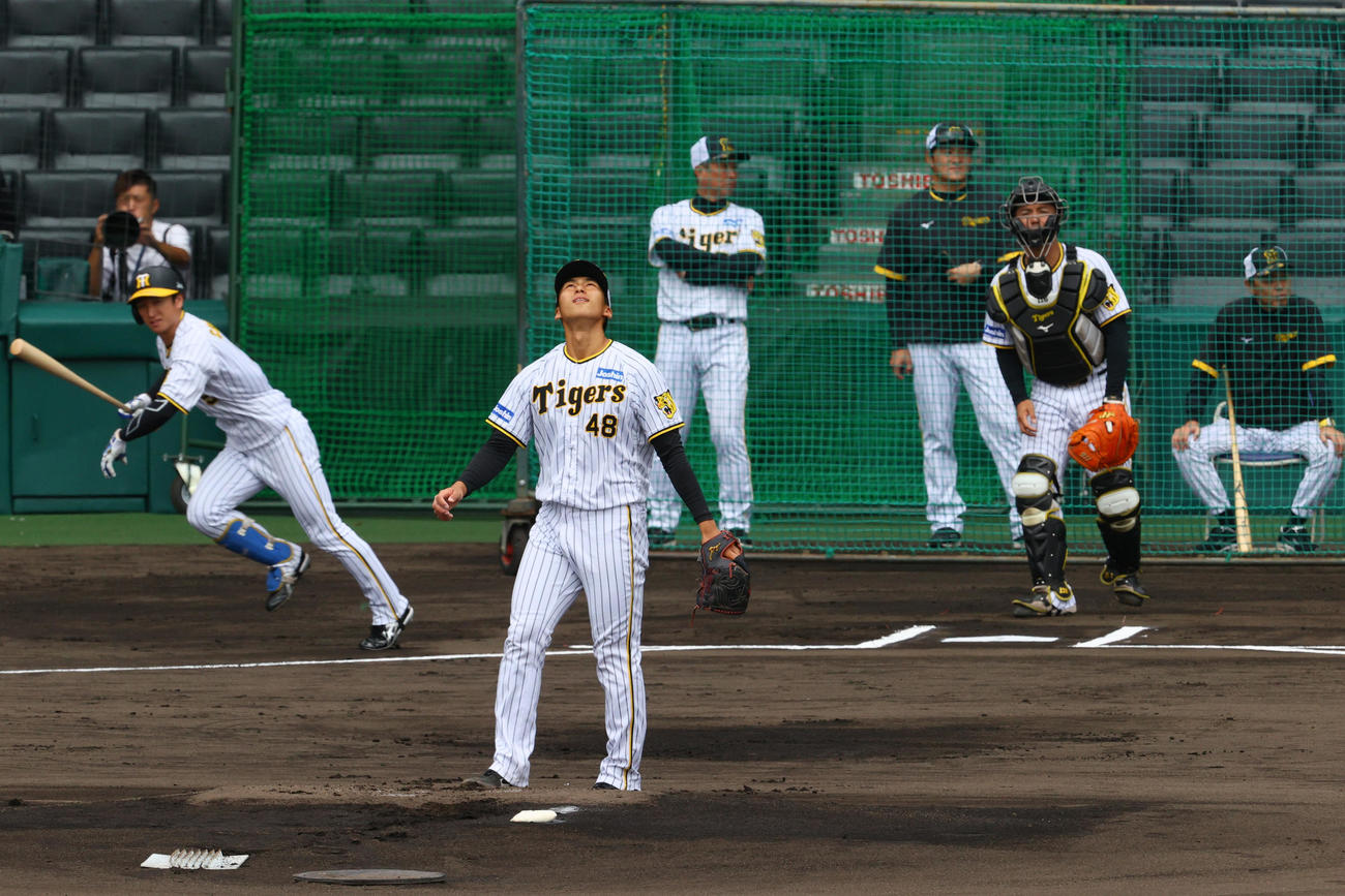実践形式で登板する阪神茨木（手前）左は阪神近本。右は阪神岡田監督（撮影・上山淳一）