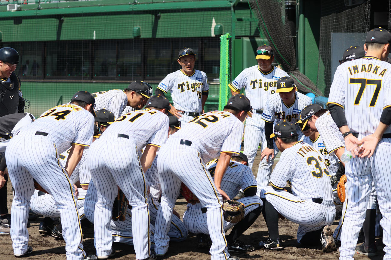 ヤクルト対阪神　試合前の円陣を組む阪神ナイン（撮影・加藤哉）