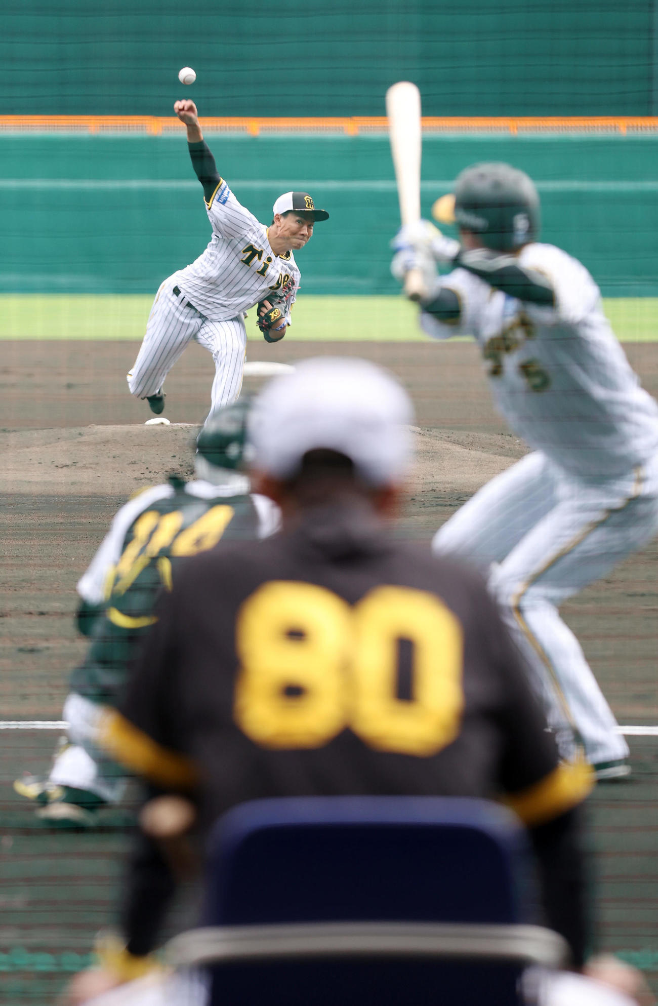 阪神岡田監督（手前）が見守る中、シート打撃に登板する湯浅。打者近本（撮影・前田充）