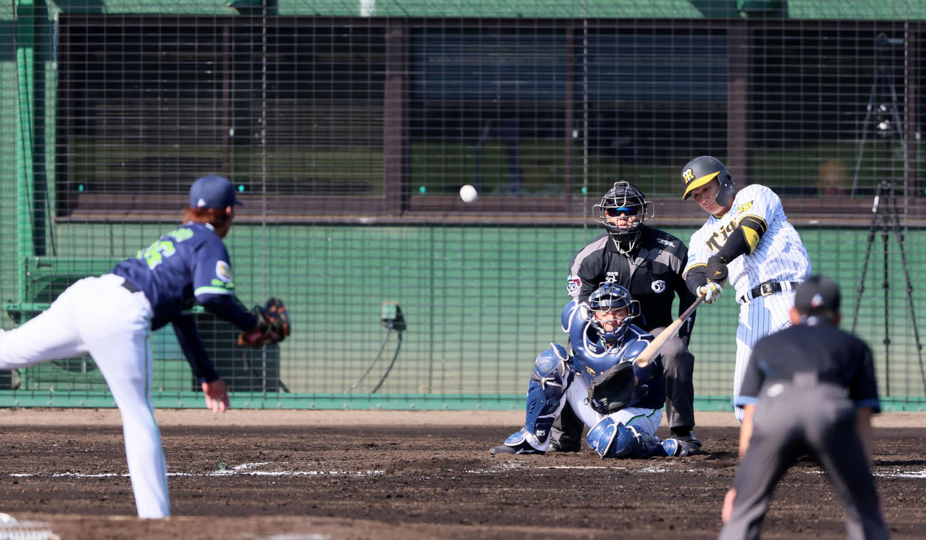 阪神対ヤクルト　7回裏阪神1死一、三塁、森下は右越え3点本塁打を放つ。投手は山野（撮影・加藤哉）