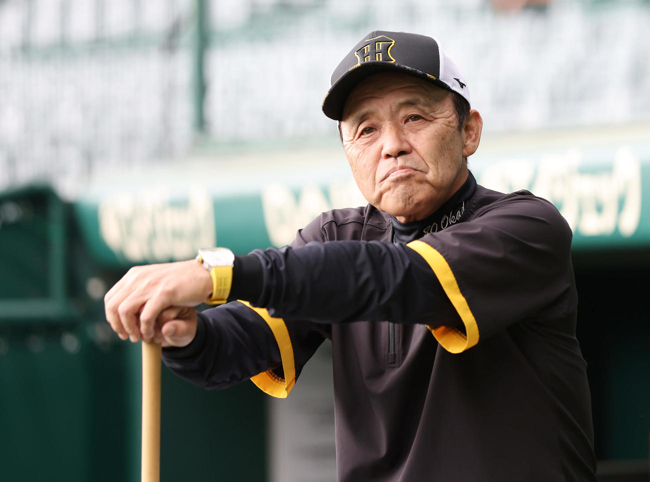 練習を見守る阪神岡田監督（撮影・前田充）