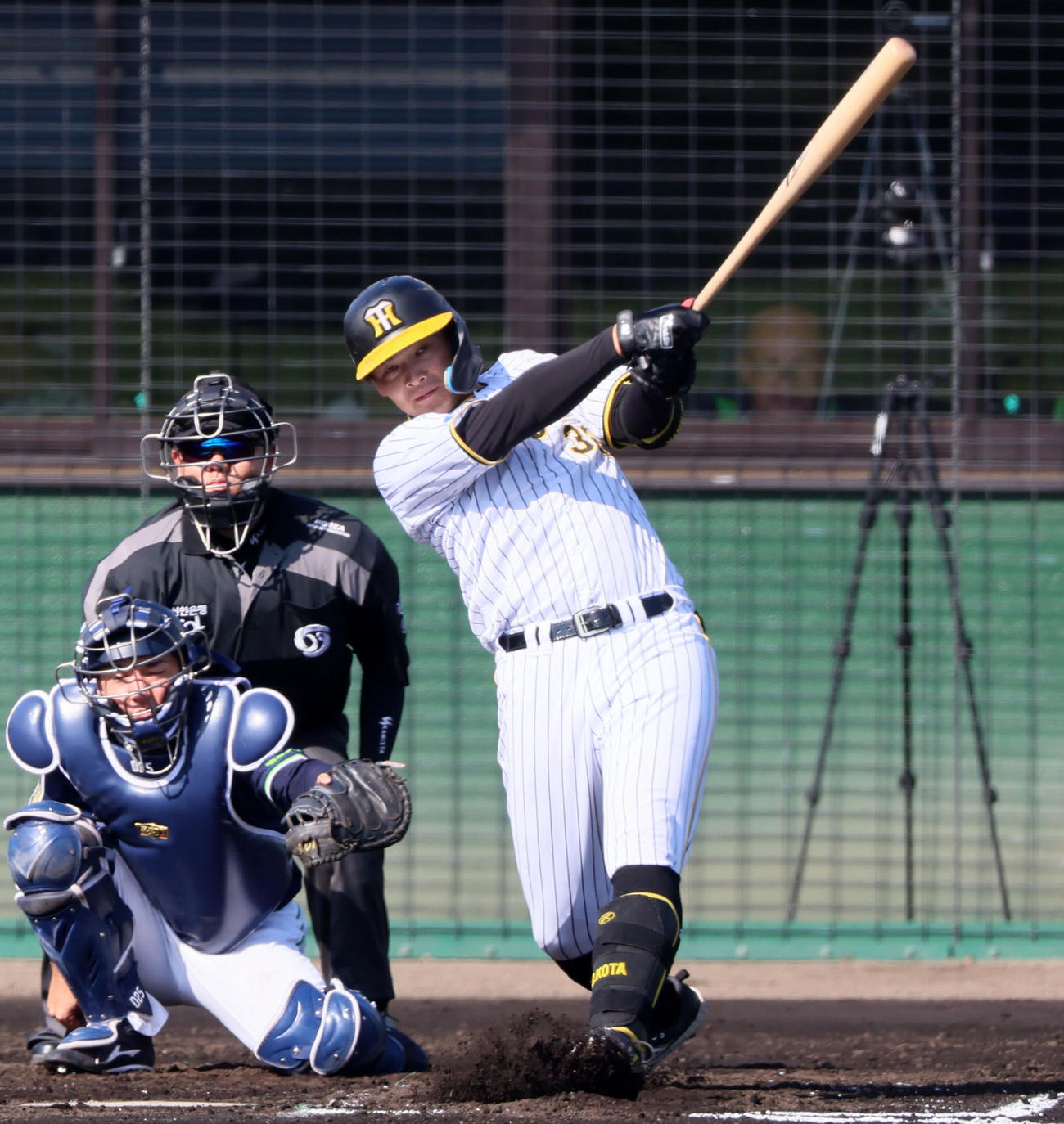 阪神対ヤクルト　7回裏阪神無死、井上は左越えソロ本塁打を放つ越え（撮影・加藤哉）