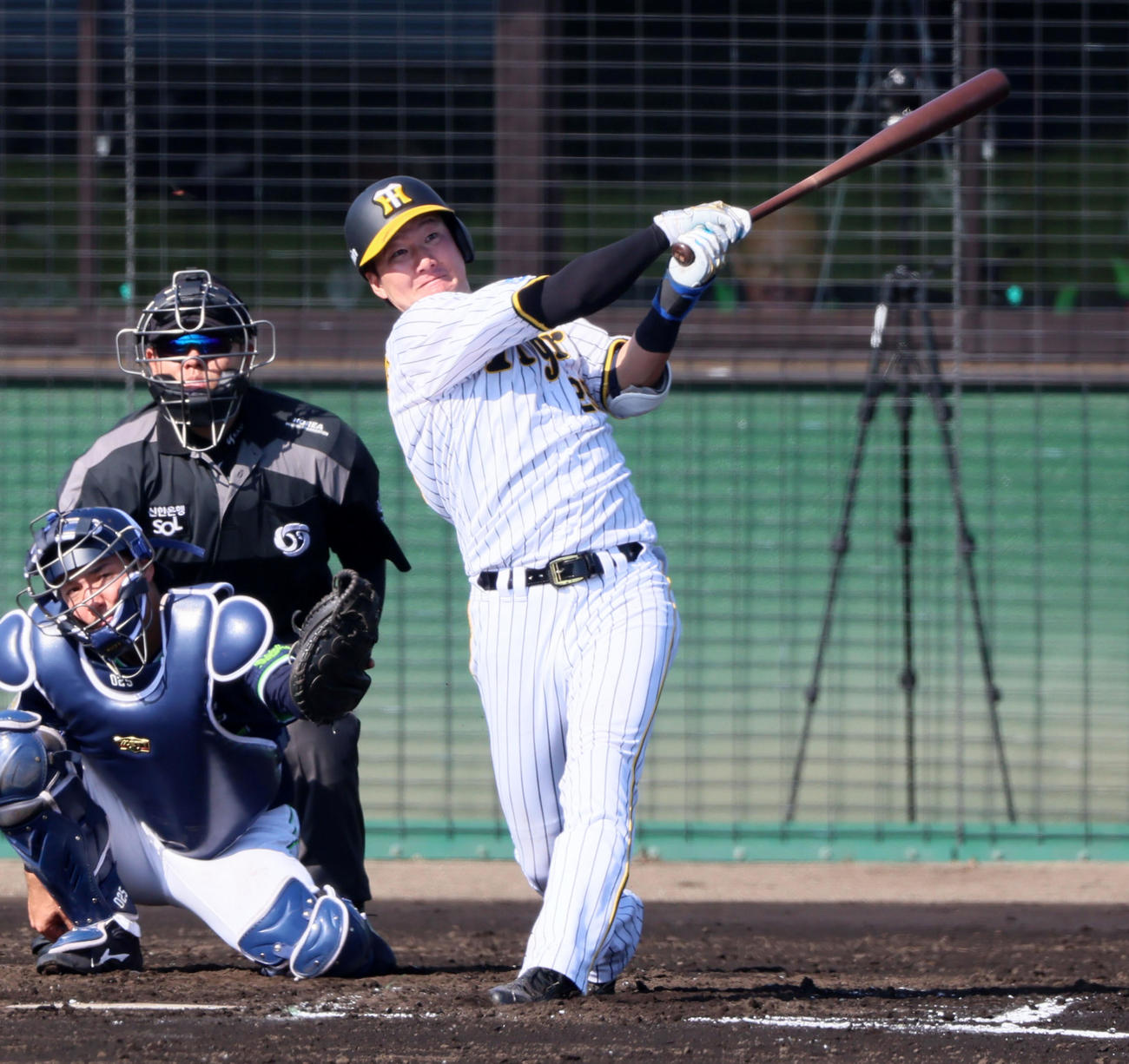阪神対ヤクルト　7回裏阪神無死、渡辺は左越えソロ本塁打を放つ（撮影・加藤哉）