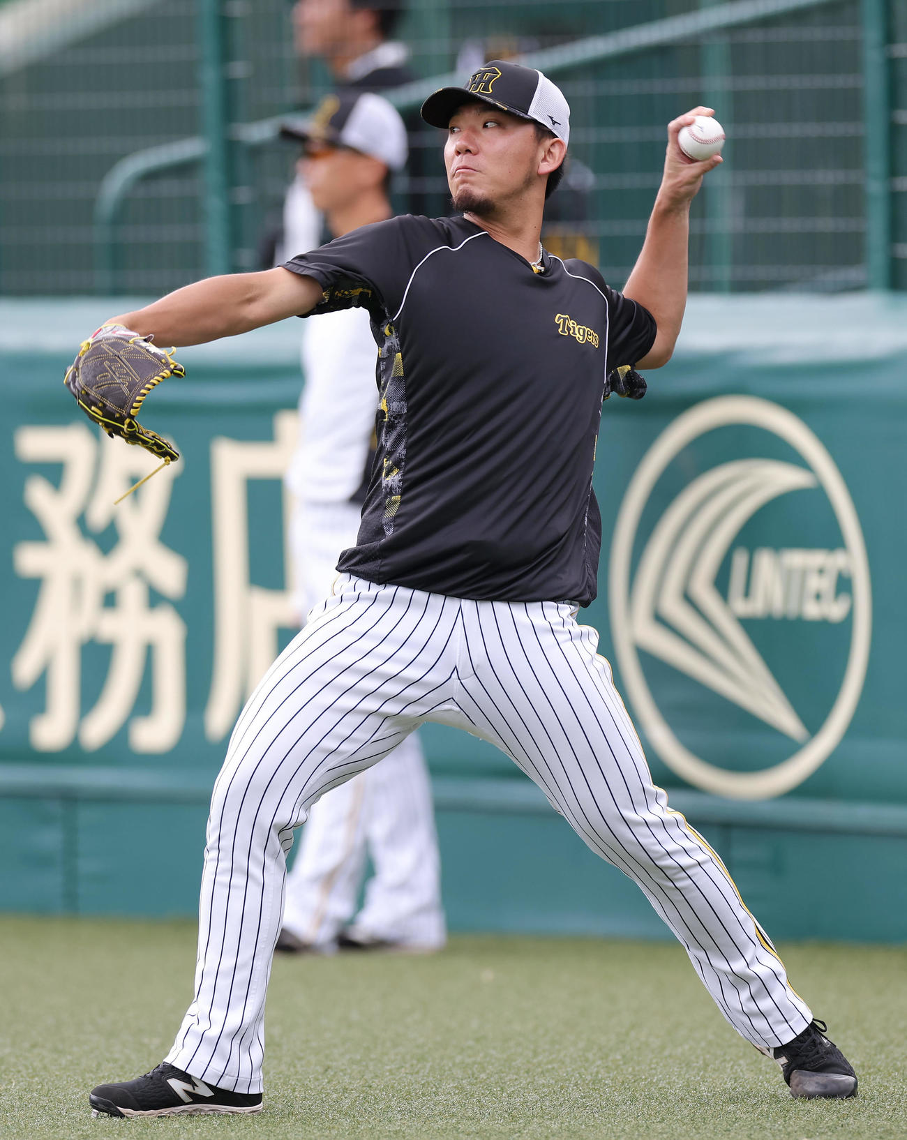 キャッチボールする阪神伊藤将（撮影・前田充）