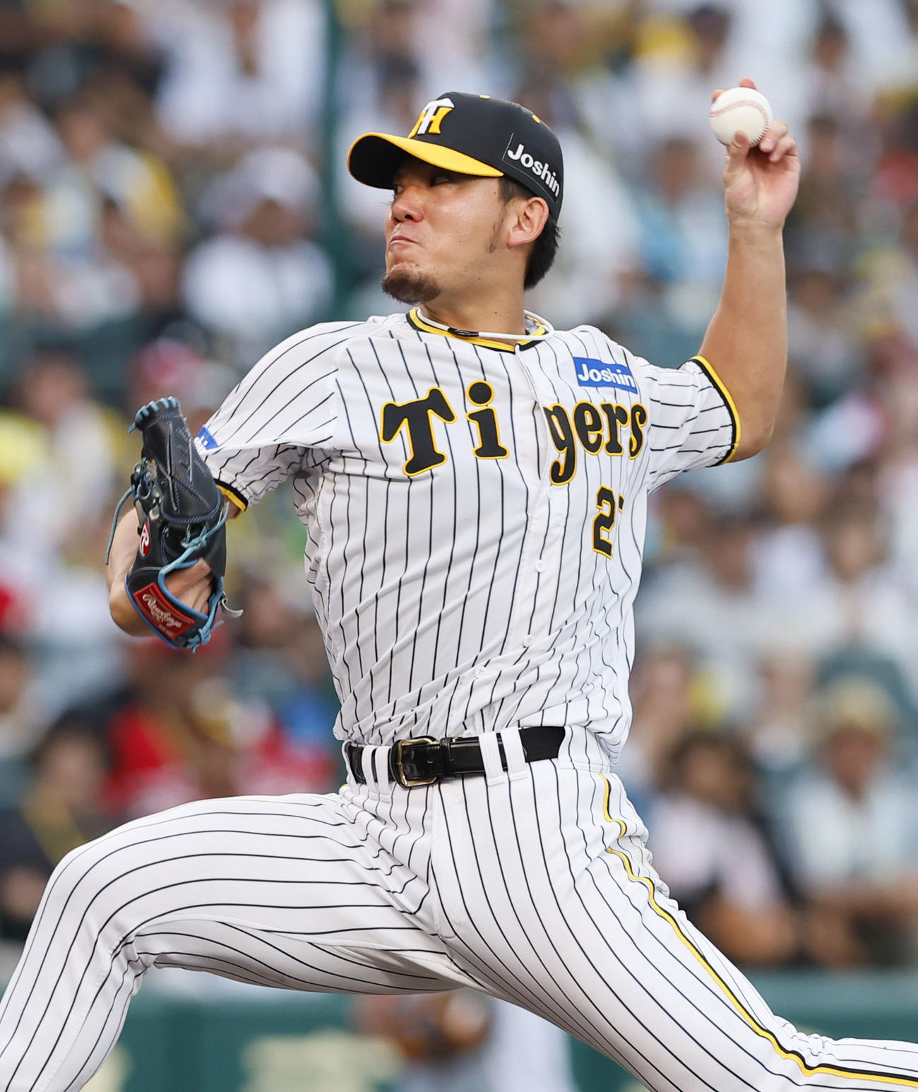 阪神伊藤将司（2023年9月10日撮影）