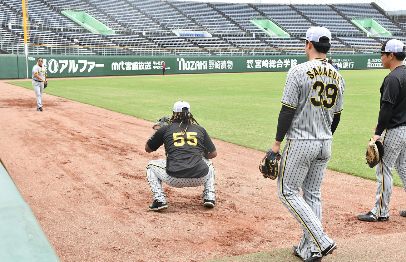 楽天対阪神　捕手練習に乱入するミエセス（撮影・岩下翔太）