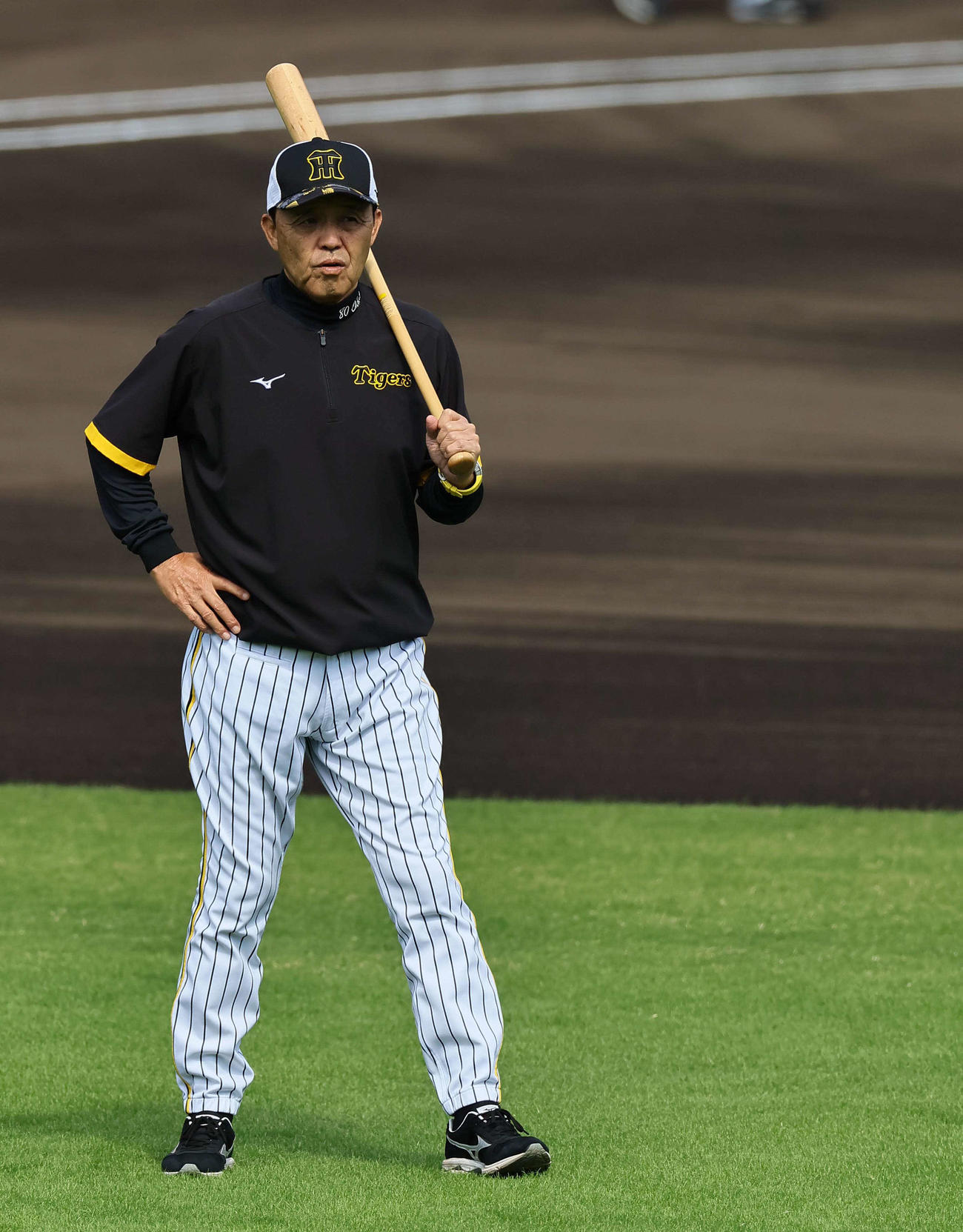 バットを手に練習を見守る阪神岡田監督（撮影・上田博志）