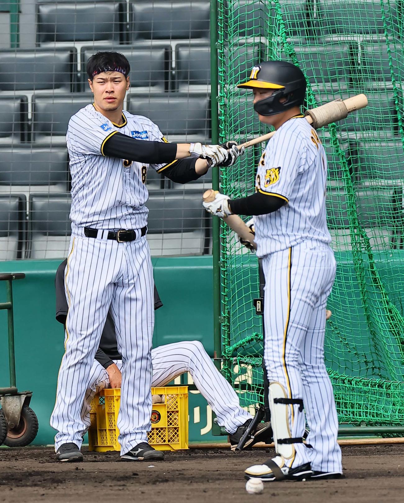 打撃練習をする佐藤輝（左）と大山（撮影・上田博志）