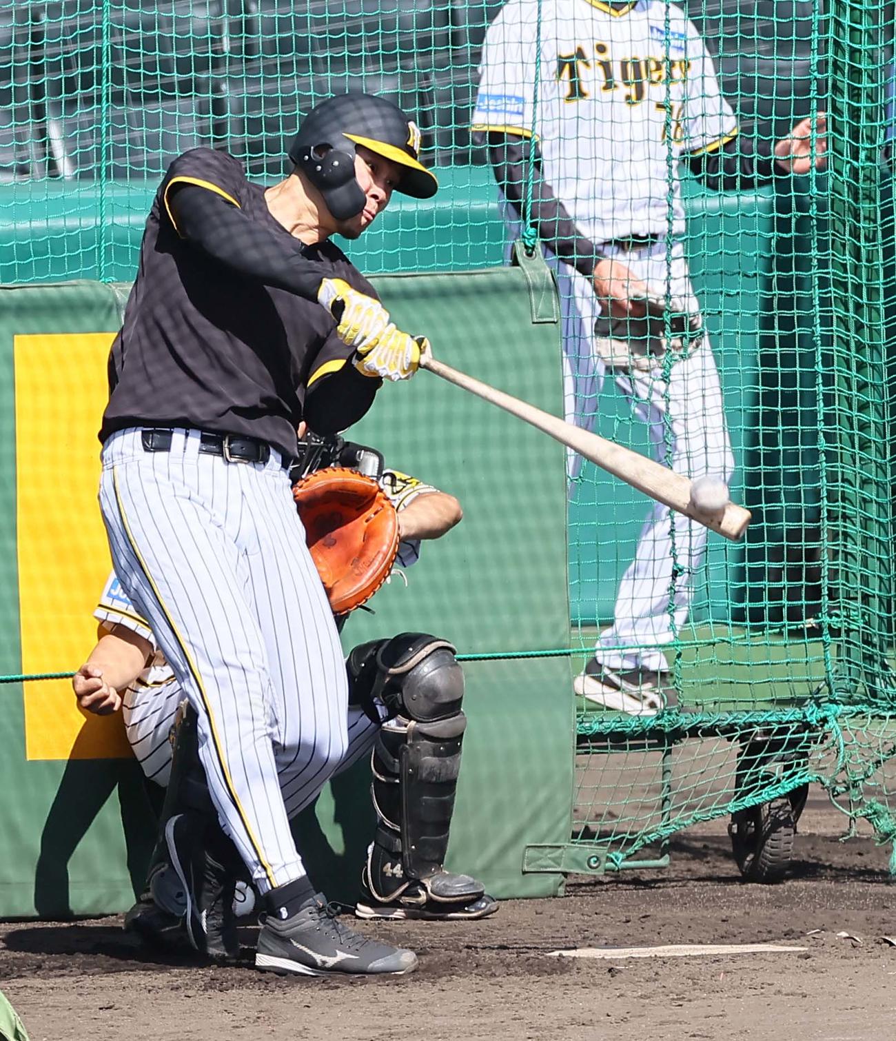 フリー打撃練習をする佐藤輝（撮影・上田博志）