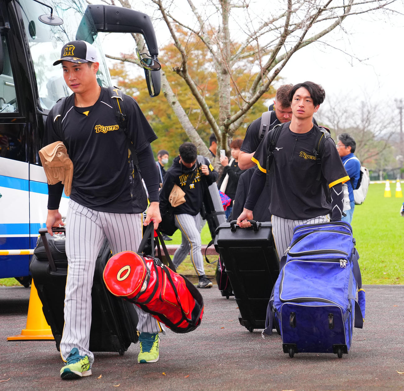 球場入りする阪神木浪（左）、近本ら（撮影・藤尾明華）