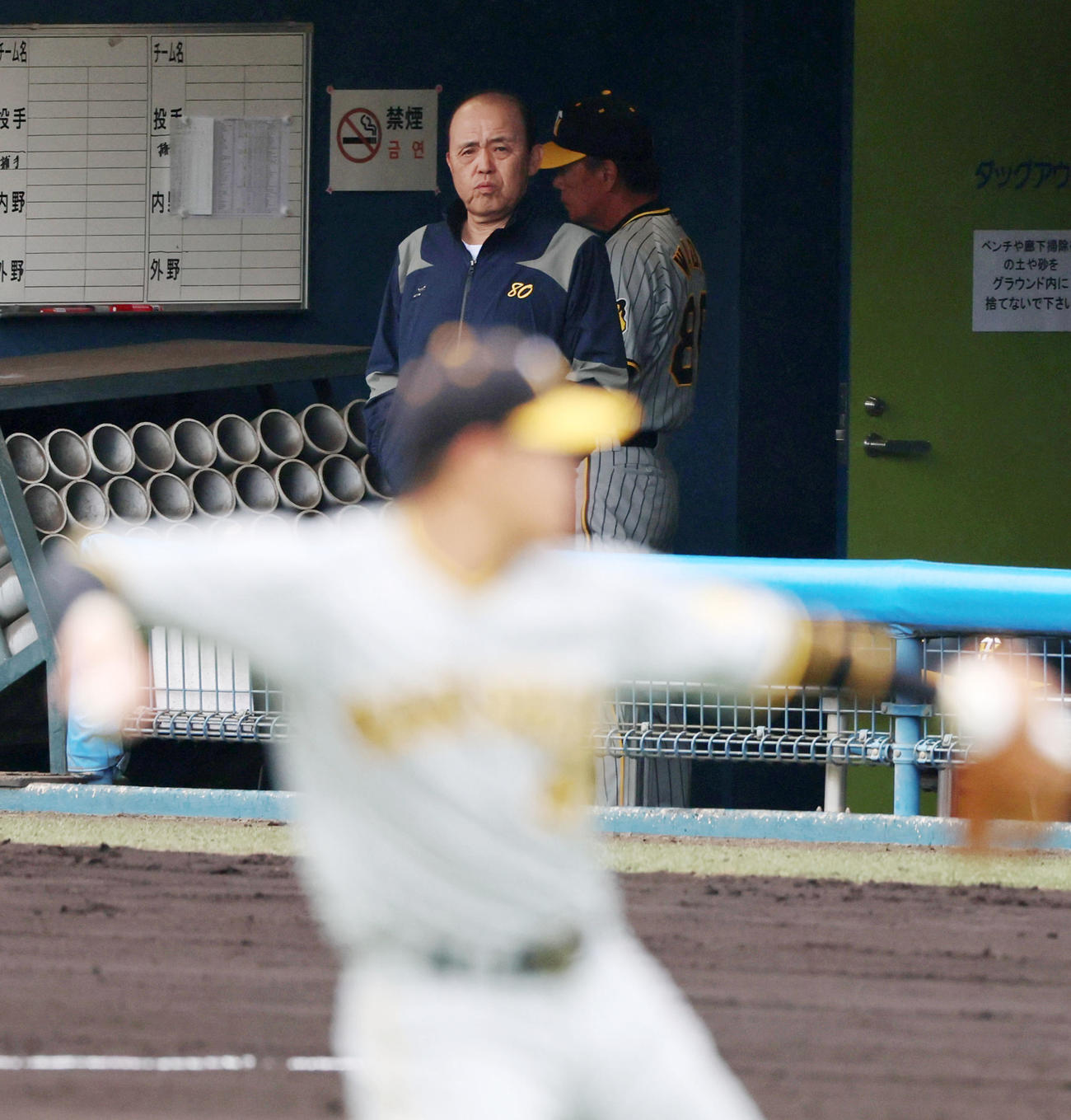 西武対阪神　ジャージー姿でベンチからナインを動きを見る岡田監督（撮影・加藤哉）