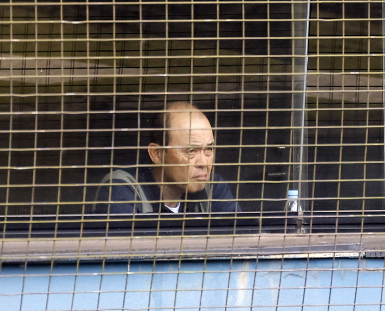 フェニックスリーグ西武対阪神　試合を視察する阪神岡田監督（撮影・藤尾明華）