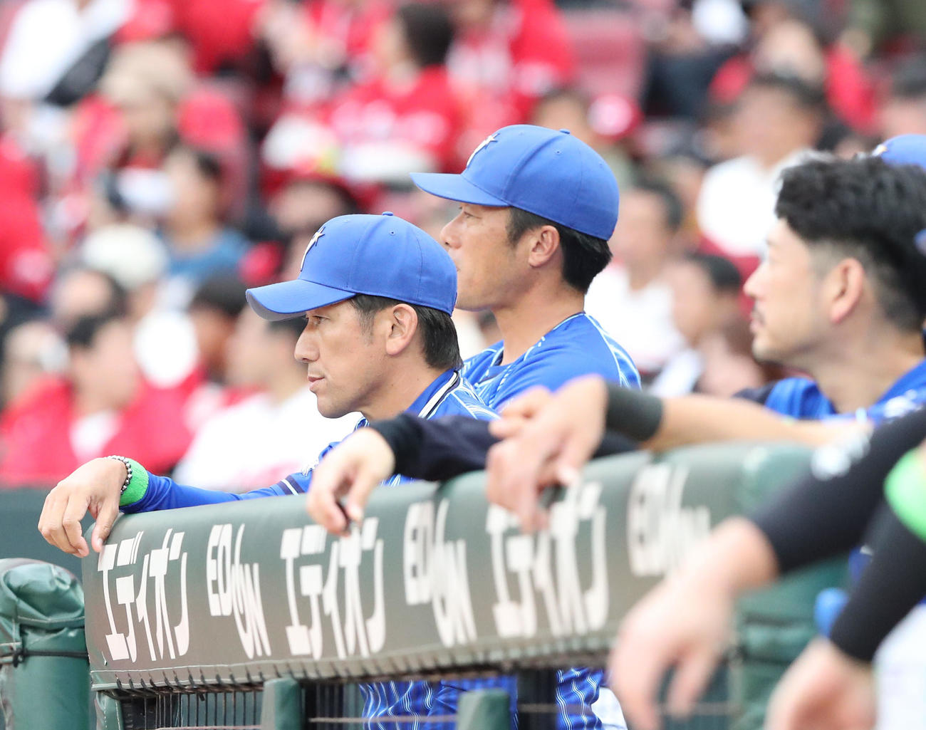 広島対DeNA　ベンチから試合を見守る三浦監督（撮影・梅根麻紀）
