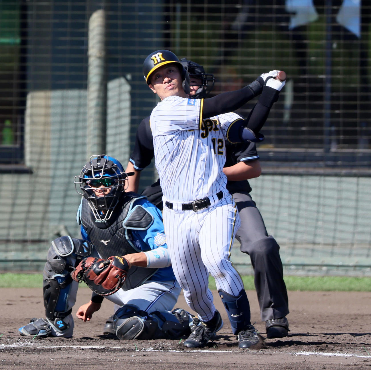阪神対日本ハム　6回裏阪神2死満塁、坂本は中適時二塁打を放つ（撮影・加藤哉）