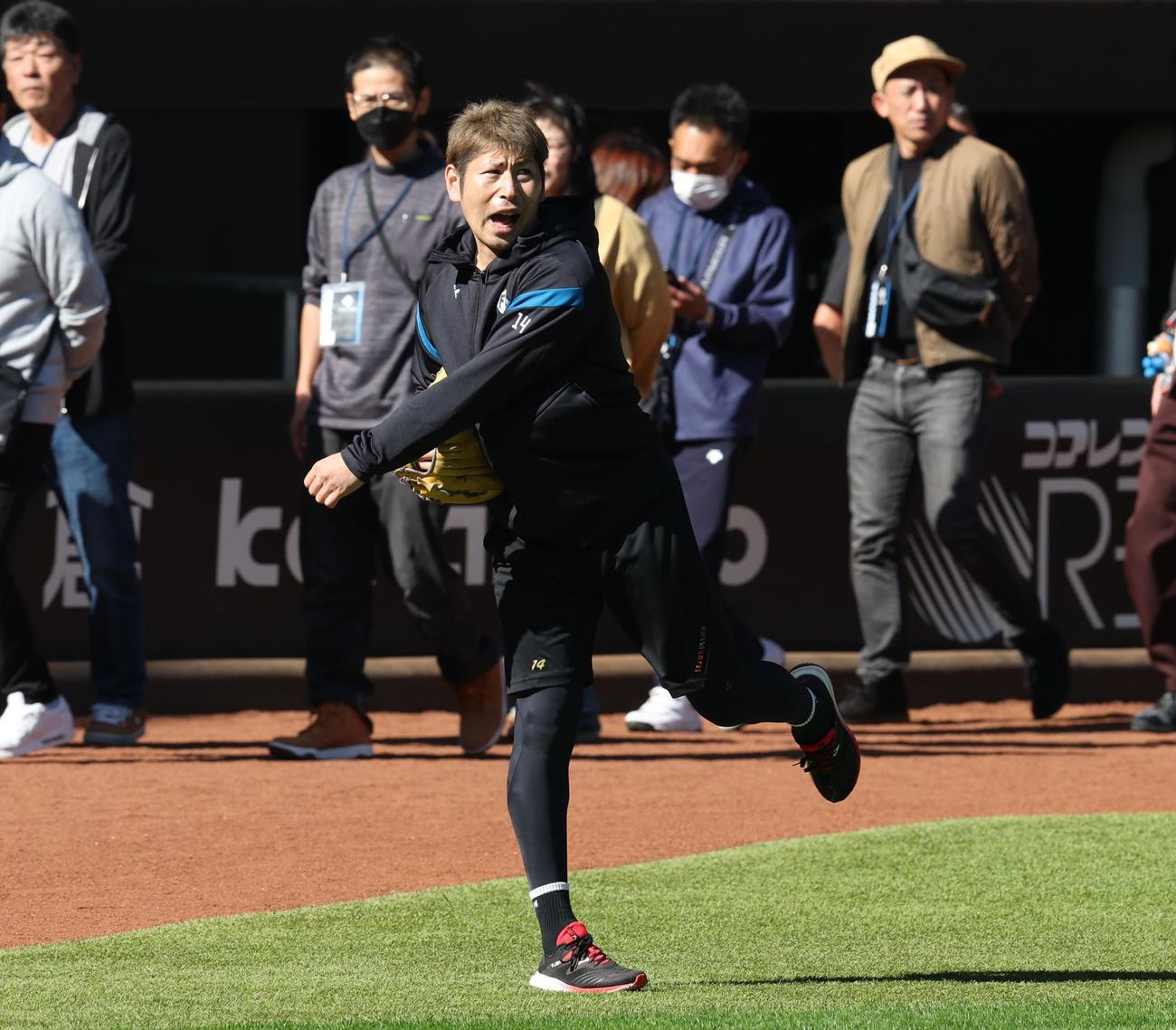 キャッチボールする日本ハム加藤貴（撮影・黒川智章）