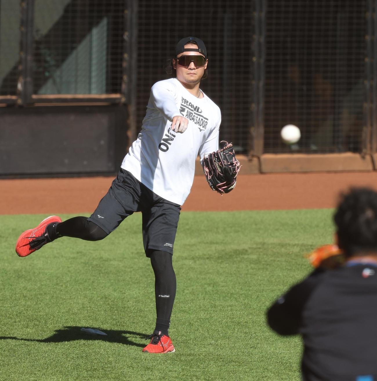 キャッチボールする日本ハム伊藤（撮影・黒川智章）