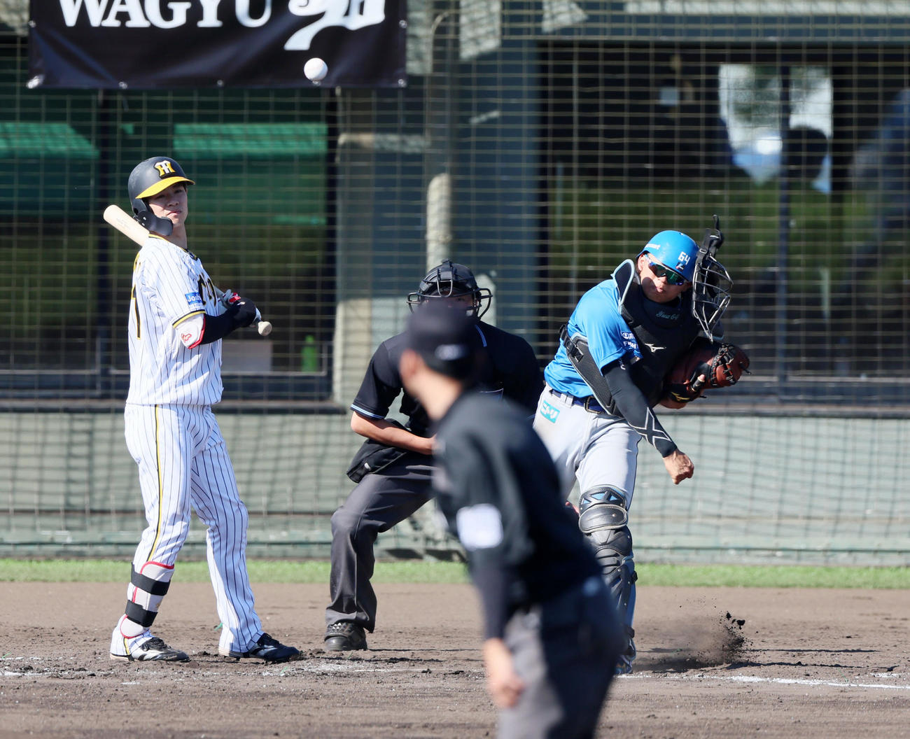 阪神対日本ハム　7回裏阪神1死一塁、田宮は一塁走者近本の二塁盗塁を刺す。打者は中野（撮影・加藤哉）