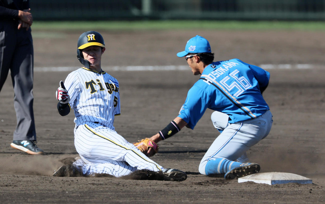 阪神対日本ハム　7回裏阪神2死一塁、一塁走者中野は二塁盗塁失敗。野手は細川（撮影・加藤哉）