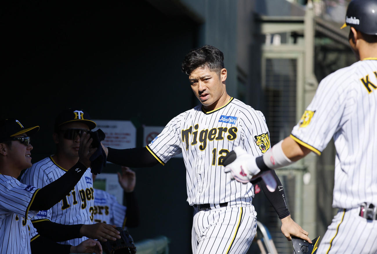 フェニックスリーグ阪神対日本ハム　6回裏阪神2死満塁から2点二塁打を放ち、ナインに迎えられる坂本（撮影・藤尾明華）