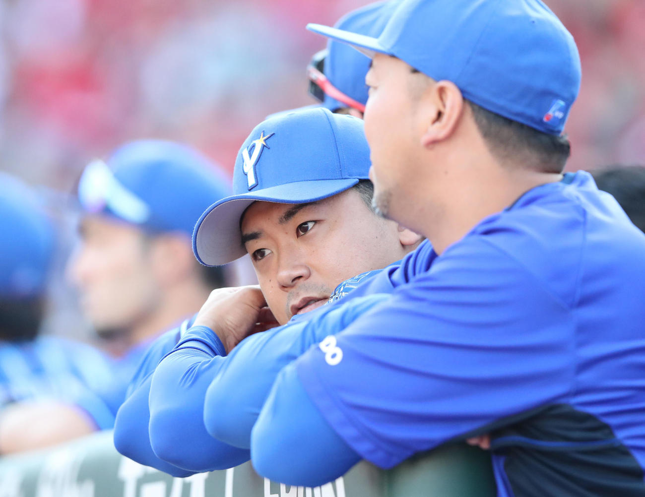 広島対DeNA　ベンチで試合を見る今永（撮影・梅根麻紀）