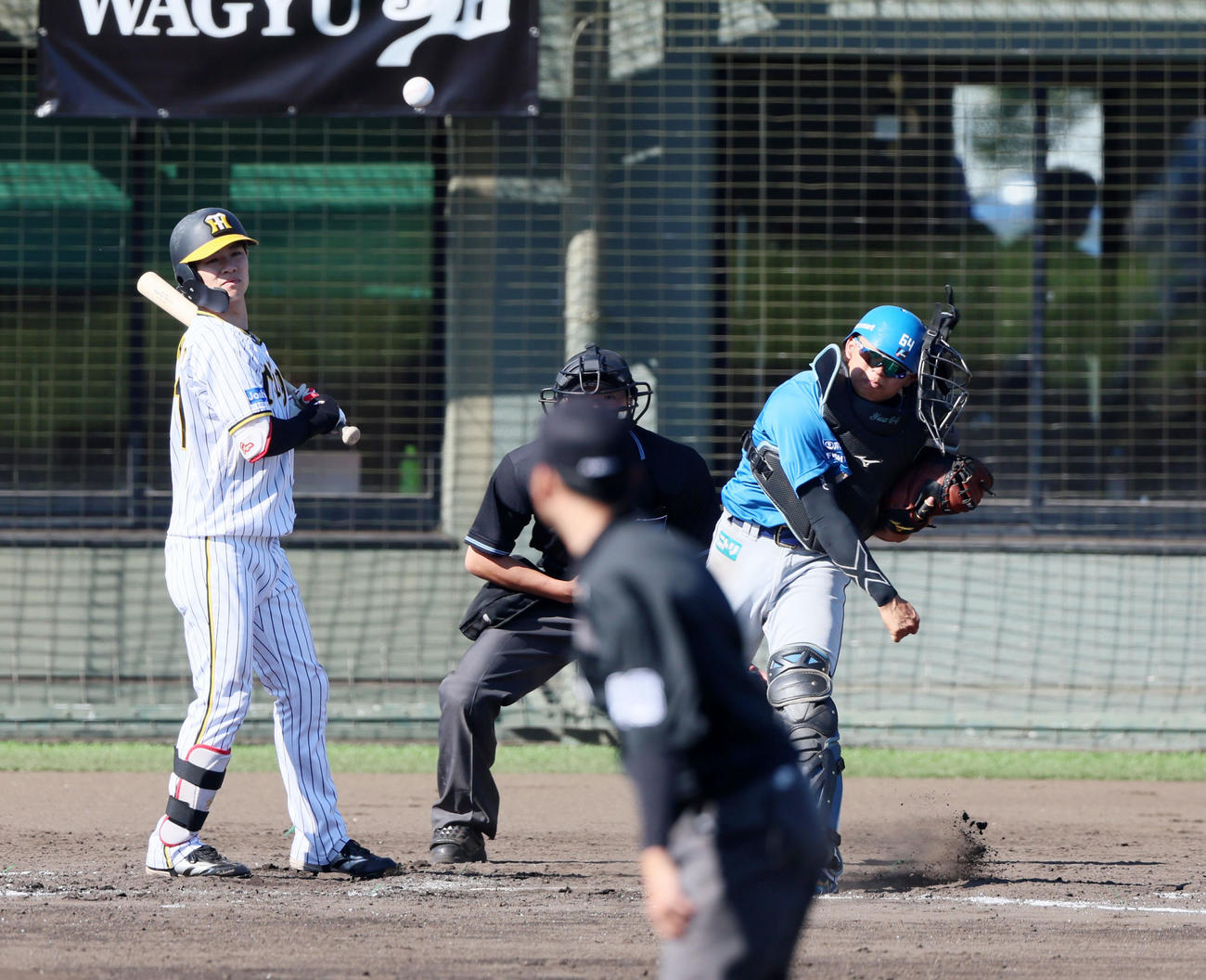 阪神対日本ハム　7回裏阪神1死一塁、田宮は一塁走者近本の二塁盗塁を刺す。打者は中野（撮影・加藤哉）