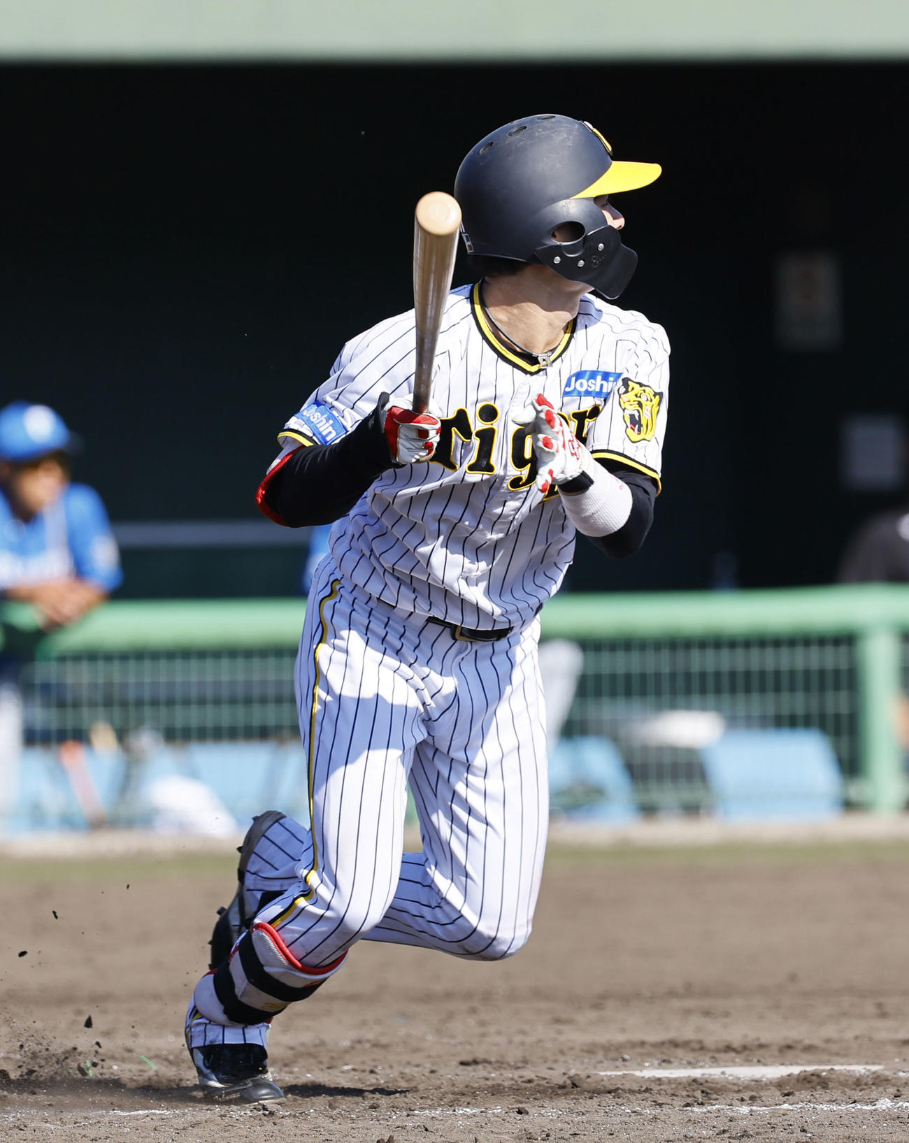 フェニックスリーグ阪神対日本ハム　7回裏阪神1死一塁、中野は左前打を放つ（撮影・藤尾明華）
