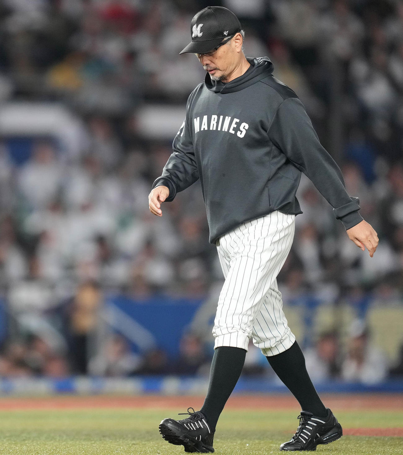 ロッテ対ソフトバンク　7回表途中、うつむきながらベンチへ戻るロッテ吉井監督（撮影・鈴木みどり）