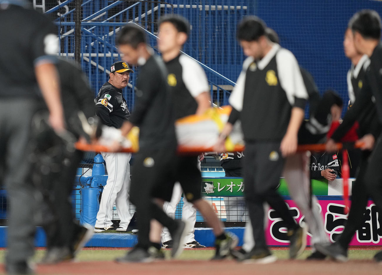 ロッテ対ソフトバンク　9回裏ロッテ1死、安田の打球を止めた際に怪我をし、担架で運ばれる二塁手三森を心配そうに見る藤本監督（撮影・鈴木みどり）