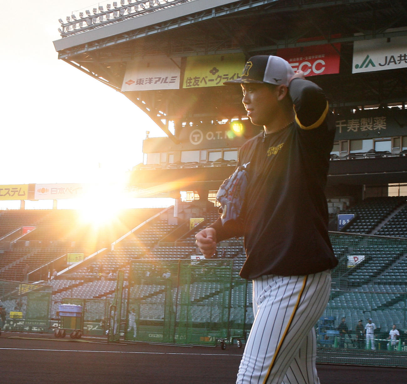 夕日を浴びながら練習に励む阪神村上（撮影・上山淳一）
