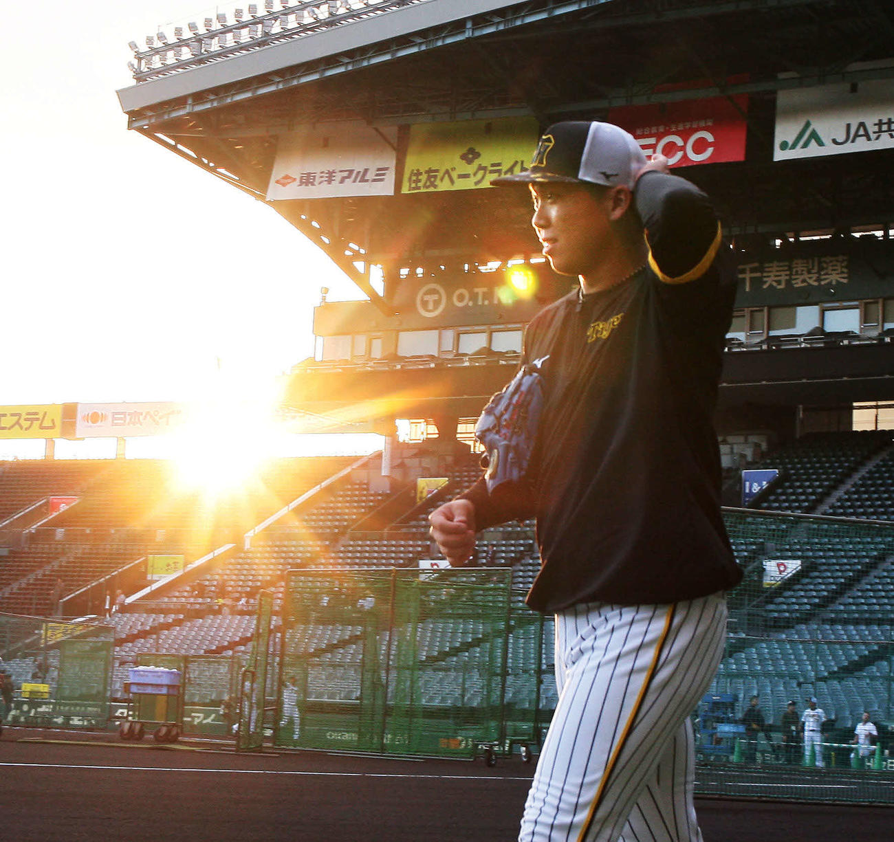 夕日を浴びながら練習に励む阪神村上（撮影・上山淳一）