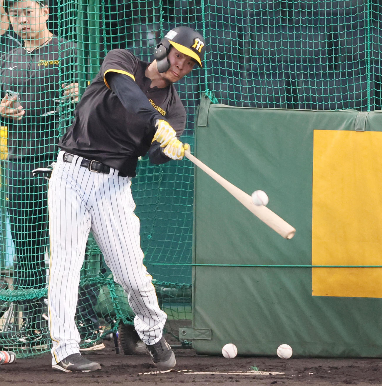 打撃練習を行う佐藤輝（撮影・加藤哉）
