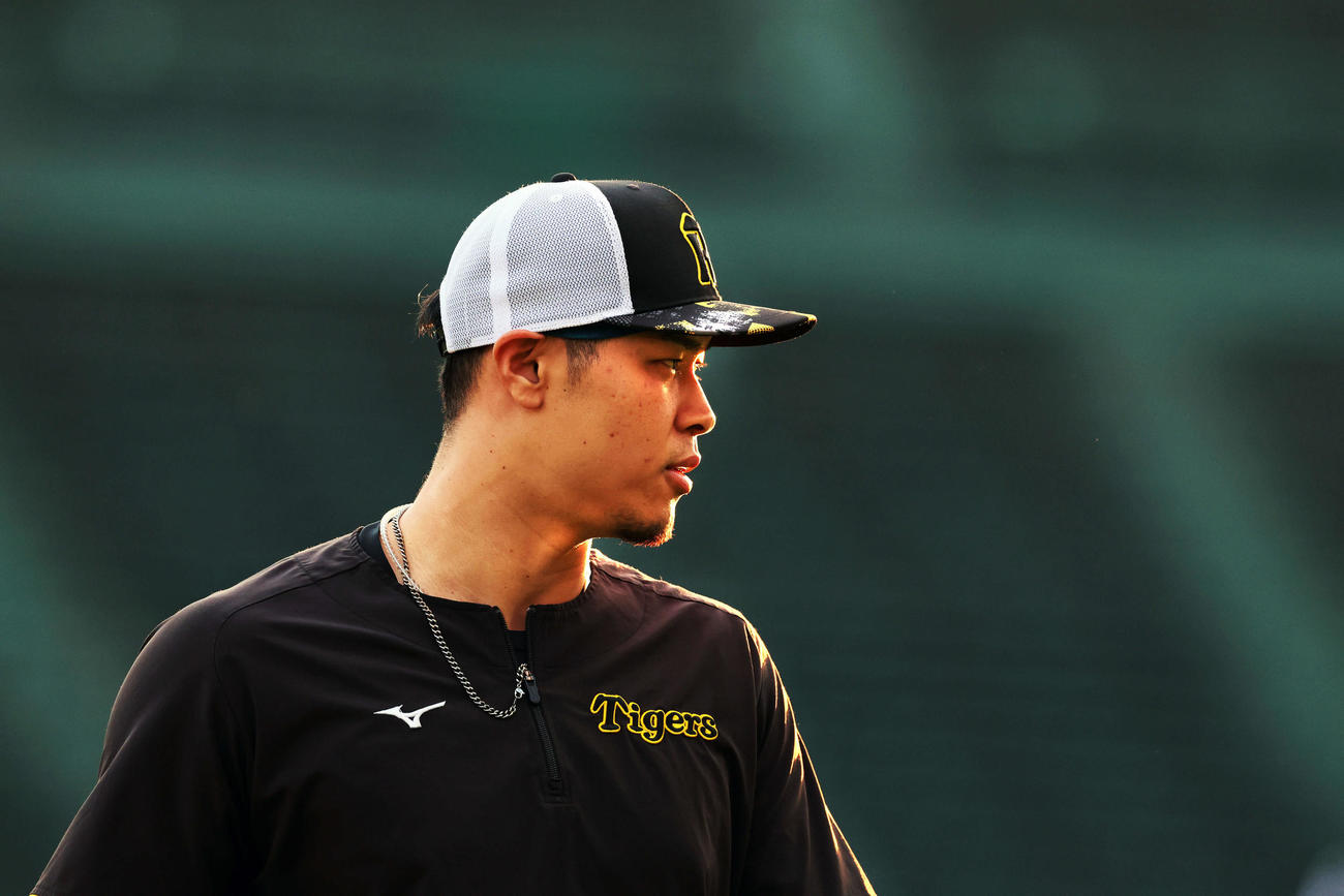 外野で夕陽を浴びながらランニングする佐藤輝（撮影・加藤哉）