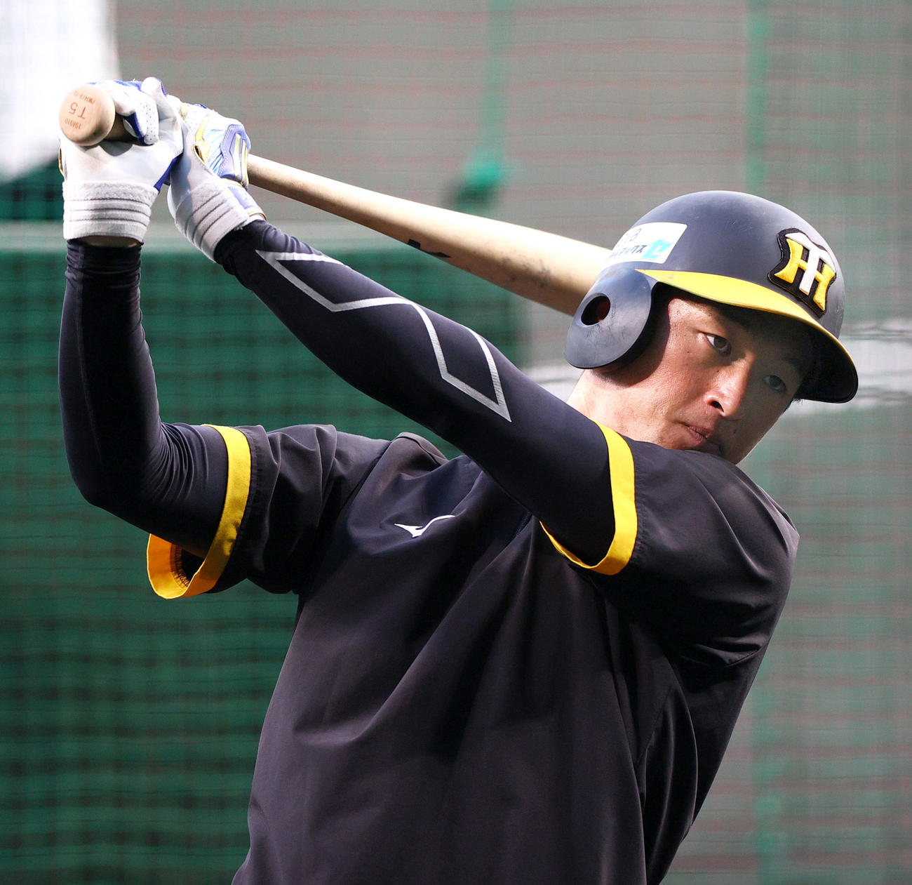 トス打撃に励む阪神近本（撮影・上山淳一）