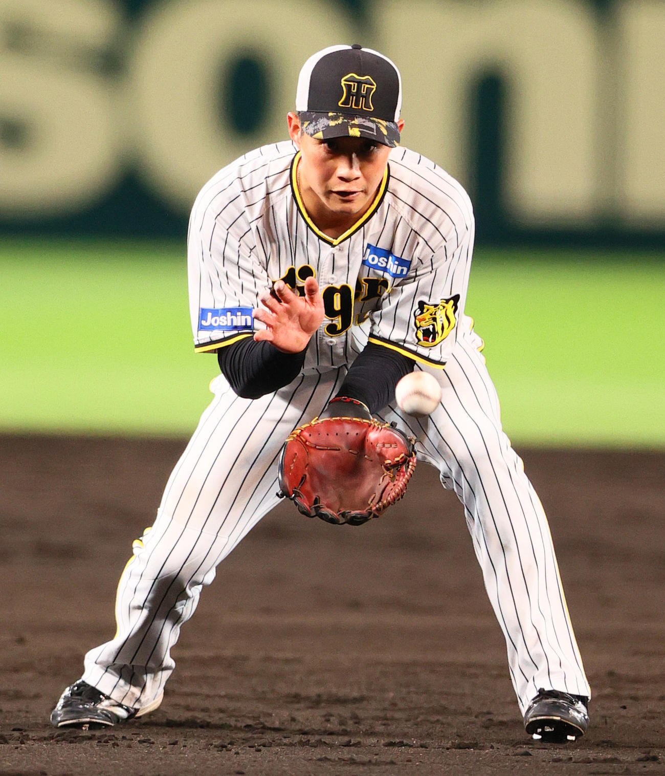 シートノックで汗を流す阪神木浪（撮影・上山淳一）
