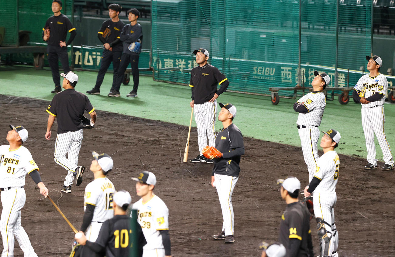 練習を見守る阪神岡田監督（中央）（撮影・上山淳一）