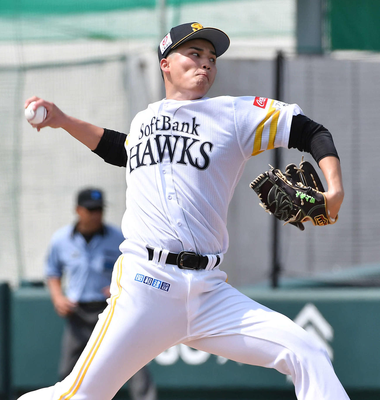 田上奏大