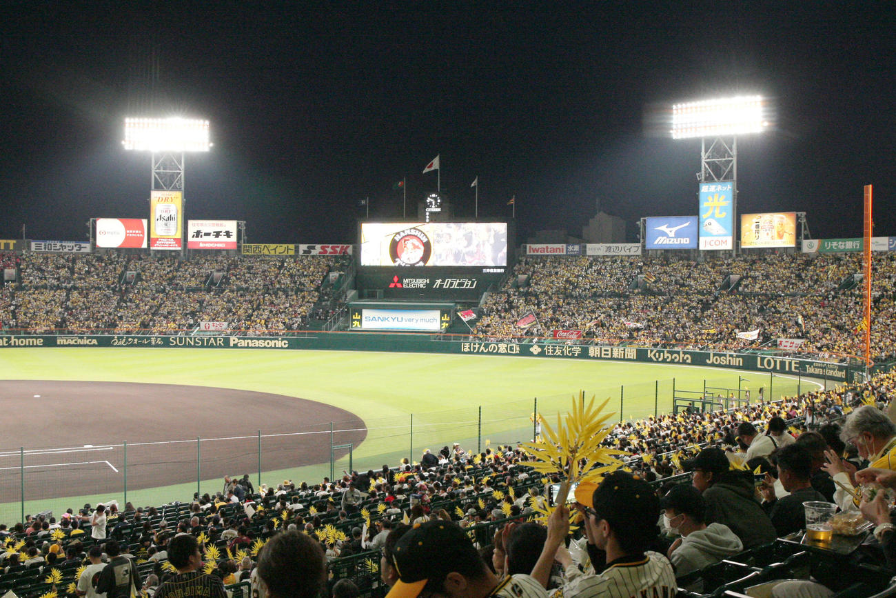 CSファイナル　阪神対広島　タイガースオリジナル福笹を持って応援する阪神ファン（撮影・上山淳一）