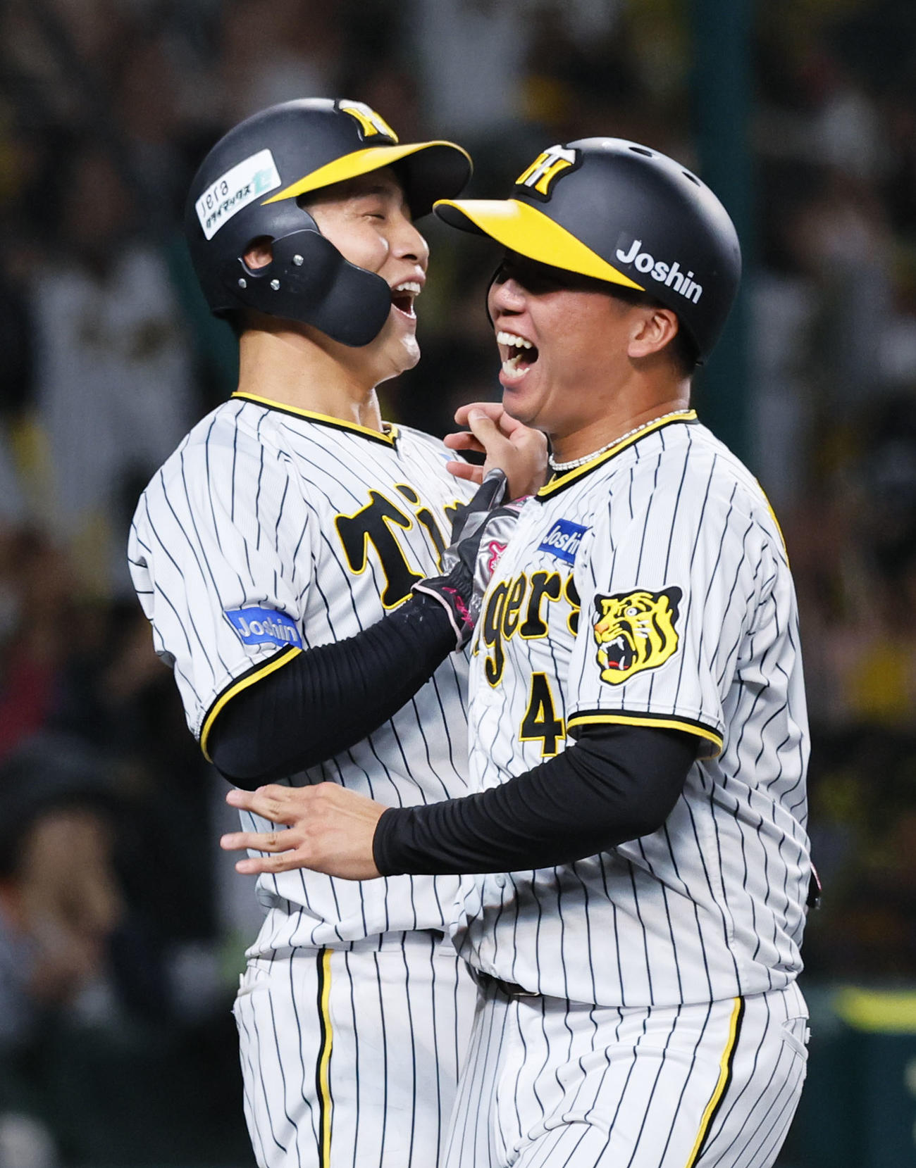 阪神対広島　5回裏阪神1死二、三塁、近本の2点打適時打で生還し、喜ぶ木浪（左）と村上（撮影・藤尾明華）
