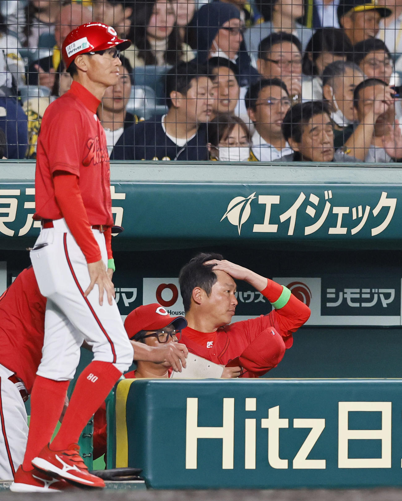 阪神対広島　7回、ベンチで厳しい表情を見せる広島新井貴浩監督（右）（撮影・藤尾明華)
