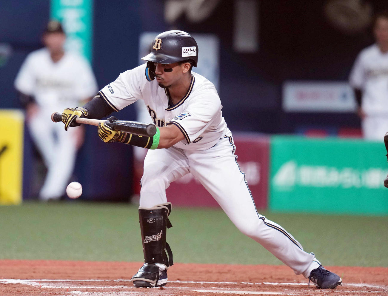 オリックス対ロッテ　6回裏オリックス無死一、二塁、送りバントを決める宗（撮影・狩俣裕三）