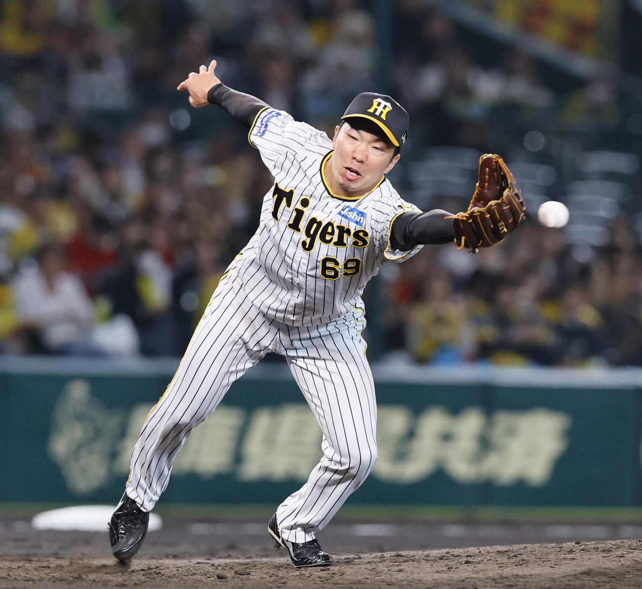 阪神対広島　8回表広島無死、代打松山の二ゴロにグラブを伸ばす阪神石井（撮影・藤尾明華）