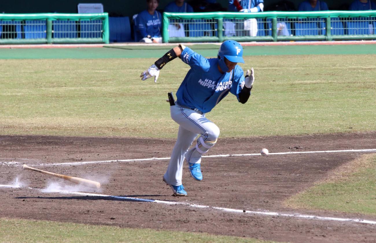 韓国選抜対日本ハム　5回日本ハム無死、先頭の矢沢がセーフティーバントを決める（撮影・永野高輔）