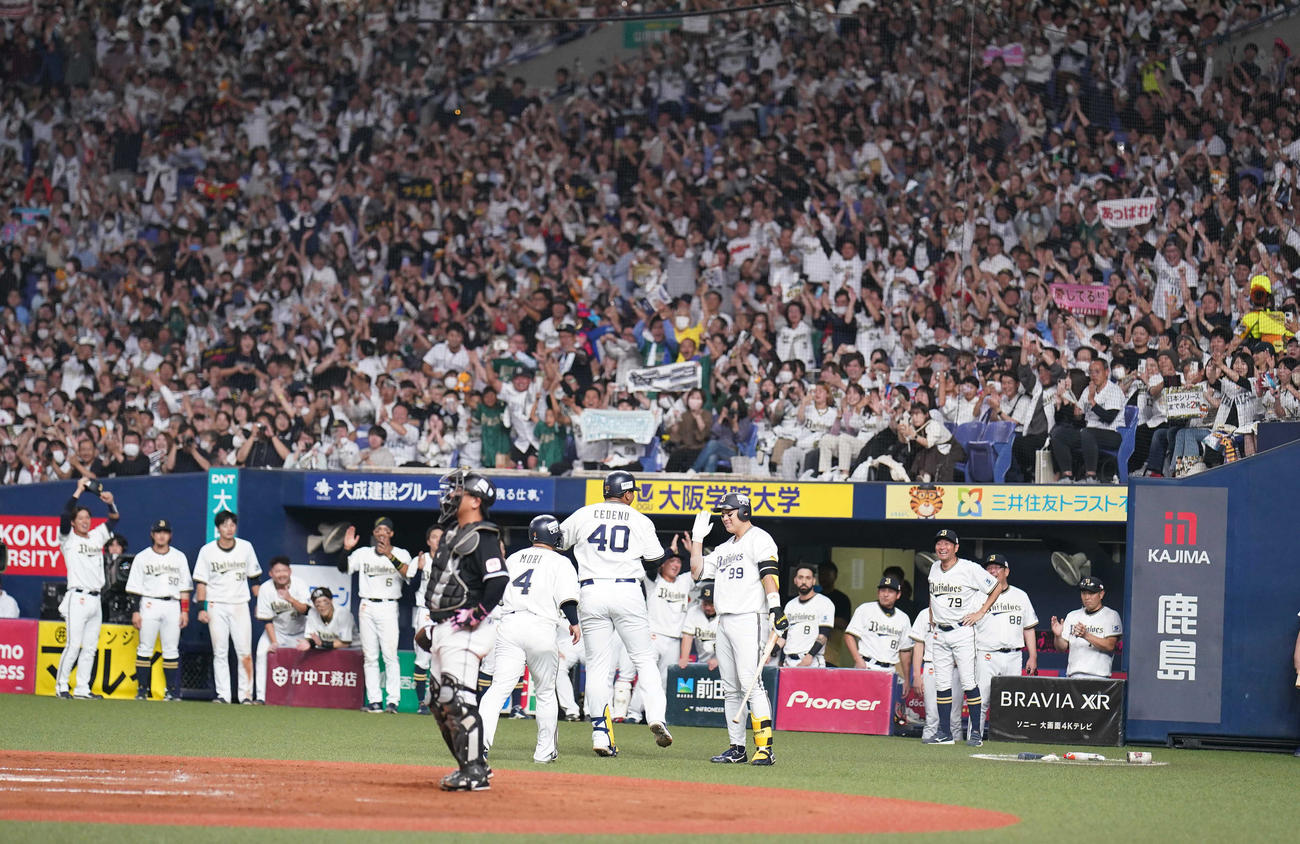 オリックス対ロッテ　7回裏オリックス2死一塁、セデーニョ（中央）が2点本塁打を放ち、盛り上がるオリックスベンチ（撮影・狩俣裕三）