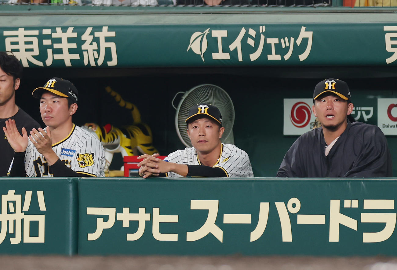 阪神対広島　8回表、阪神4番手ブルワーの投球をベンチから見守る、左から石井、島本、伊藤将（撮影・前田充）