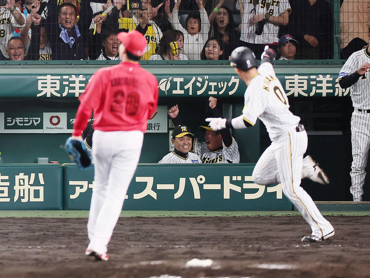 阪神対広島　9回裏阪神2死満塁、木浪（手前右）のサヨナラ打に笑顔を見せる岡田監督（後方左）。投手栗林（撮影・足立雅史）