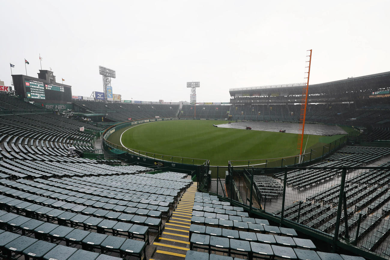 試合前、激しい雨が降る甲子園球場（撮影・足立雅史）